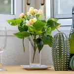 797 Holiday Rentals- Estudio Benalmadena Cerca De La Playa Y Puerto Marina