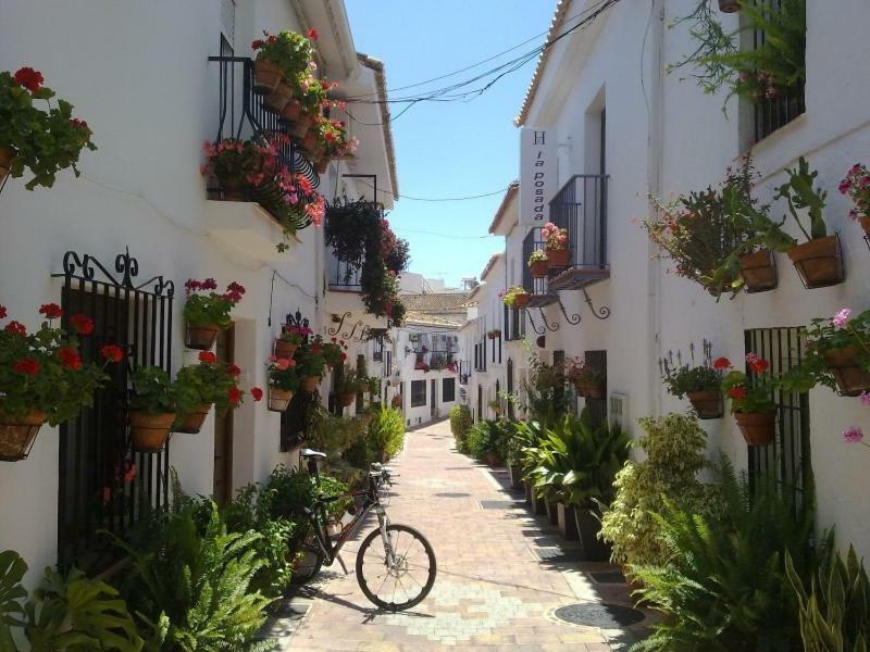 Lejlighed 797 Rentals- Estudio Cerca De La Playa Y Puerto Marina *